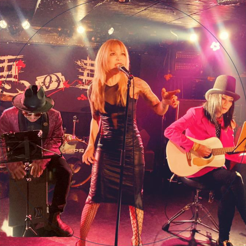 電動コケティッシュ